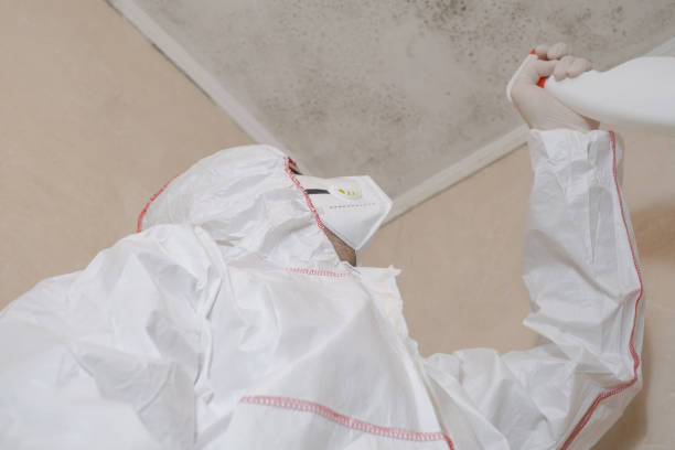 Best Certified Mold Removal  in Healdton, OK